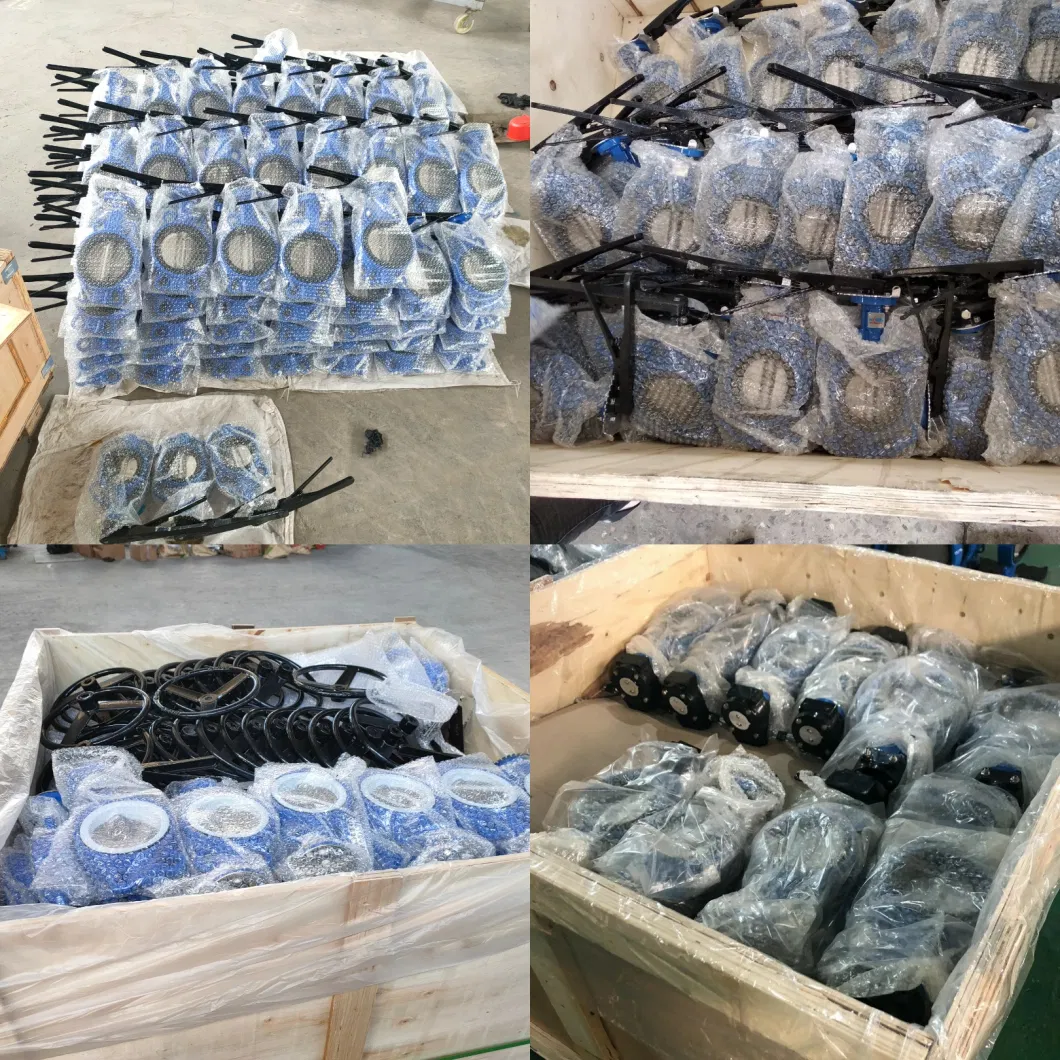 Class125 Class150 As2129 Table D/E Mss Sp Flange Connection Lug Type Butterfly Valve Cartridge Rubber Seat