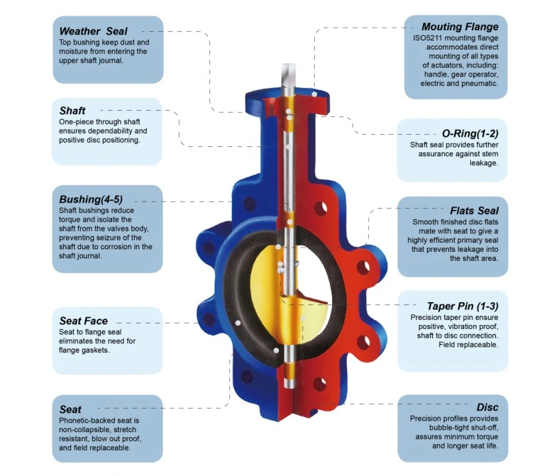 Lug Concentric Butterfly Valve EPDM Seat Rubber Seat