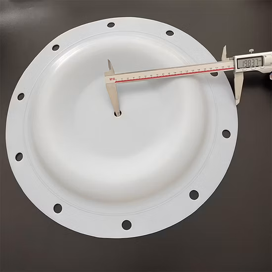 Импортированные детали мембранного насоса из 100% ПТФЭ для деталей насоса Sandpiper